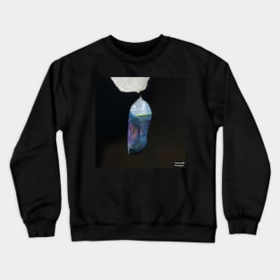 Monarch Chrysalis (2022) Crewneck Sweatshirt